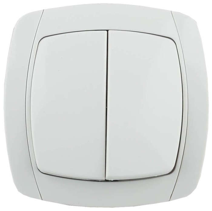 СВЕТОЗАР 10А/~250В, белый, двухклавишный, выключатель &quot;CITY LIGHT&quot; SV-54234-W