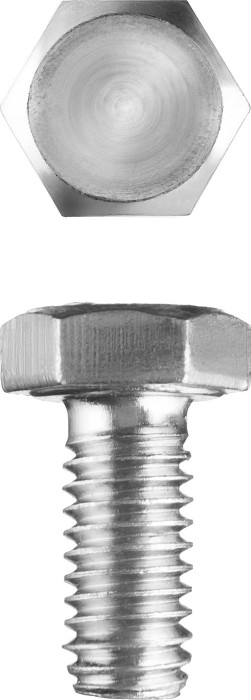 ЗУБР M5 x 10 мм, 5 кг, оцинкованный, болт ГОСТ 7798-70 303080-05-010 Мастер